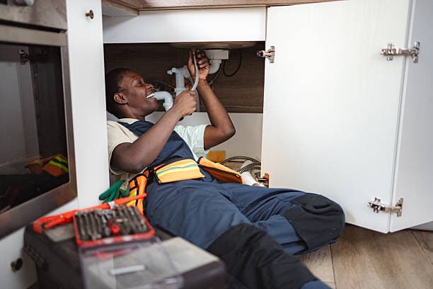 Local Household Services